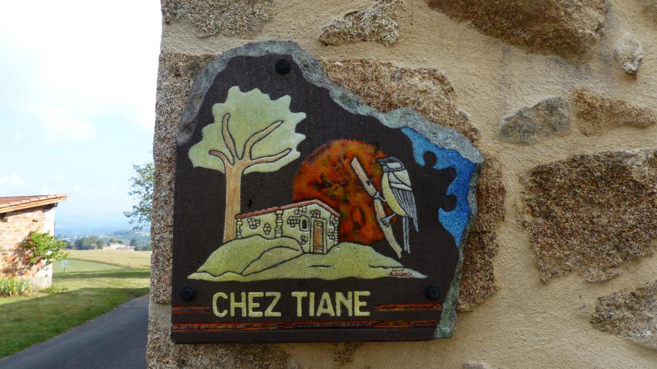 Chez Tiane Puy De Dome Bed and Breakfast Saint-Flour  Εξωτερικό φωτογραφία